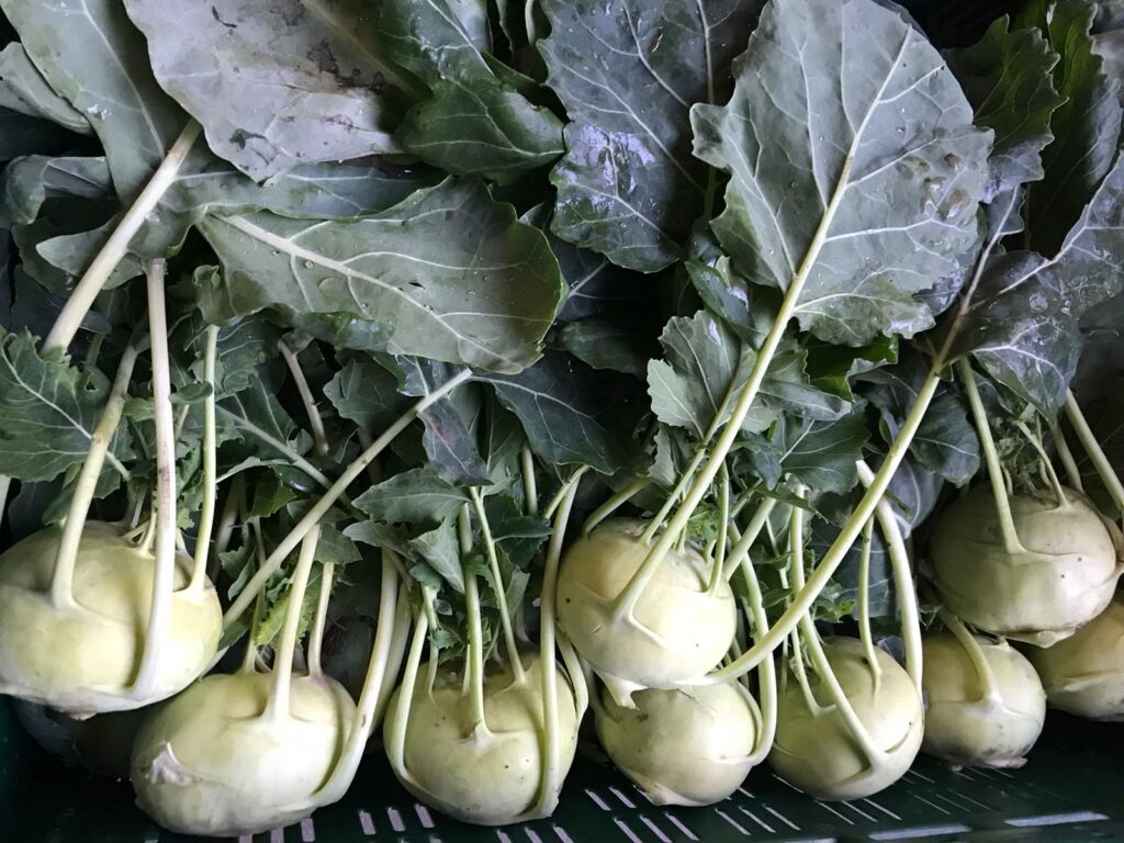 Kohlrabi